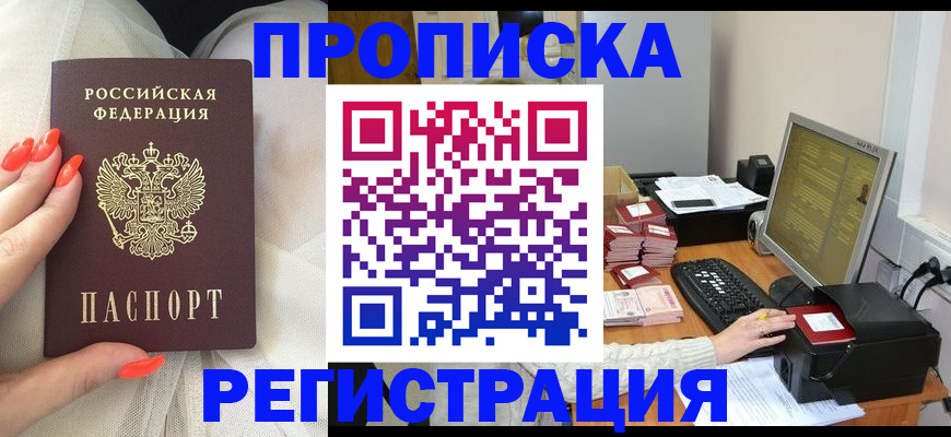 временная регистрация поиск в Камчатском крае